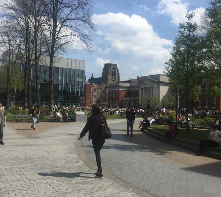 Students revising outside