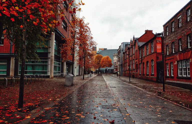 Red leaves of Bridgford street