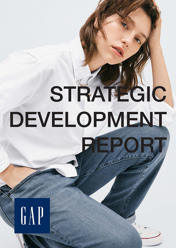 GAP strategic development report image