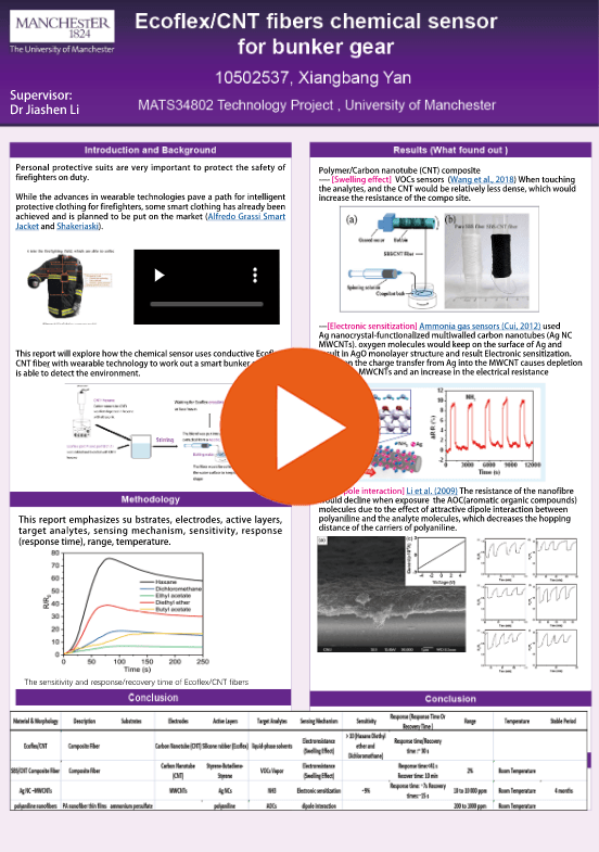 click to view the online poster