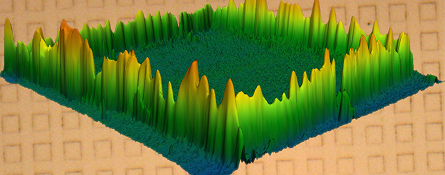 An image taken with an atomic force microscope showing an ordered square of polymer brushes.