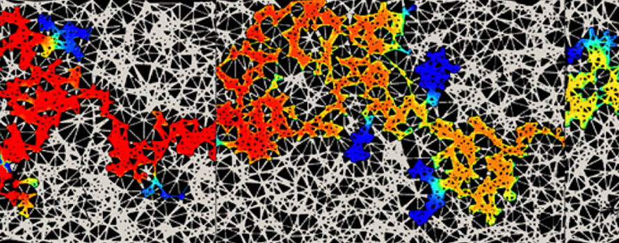 A part of the polydimethylsiloxane micromodel used in the experiments to visualise the spreading of ink water