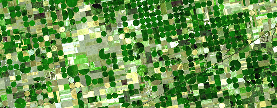 Aerial photo of green fields