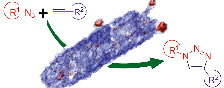 Biosynthesis and Characterization of Copper Nanoparticles Using Shewanella oneidensis Application for Click Chemistry