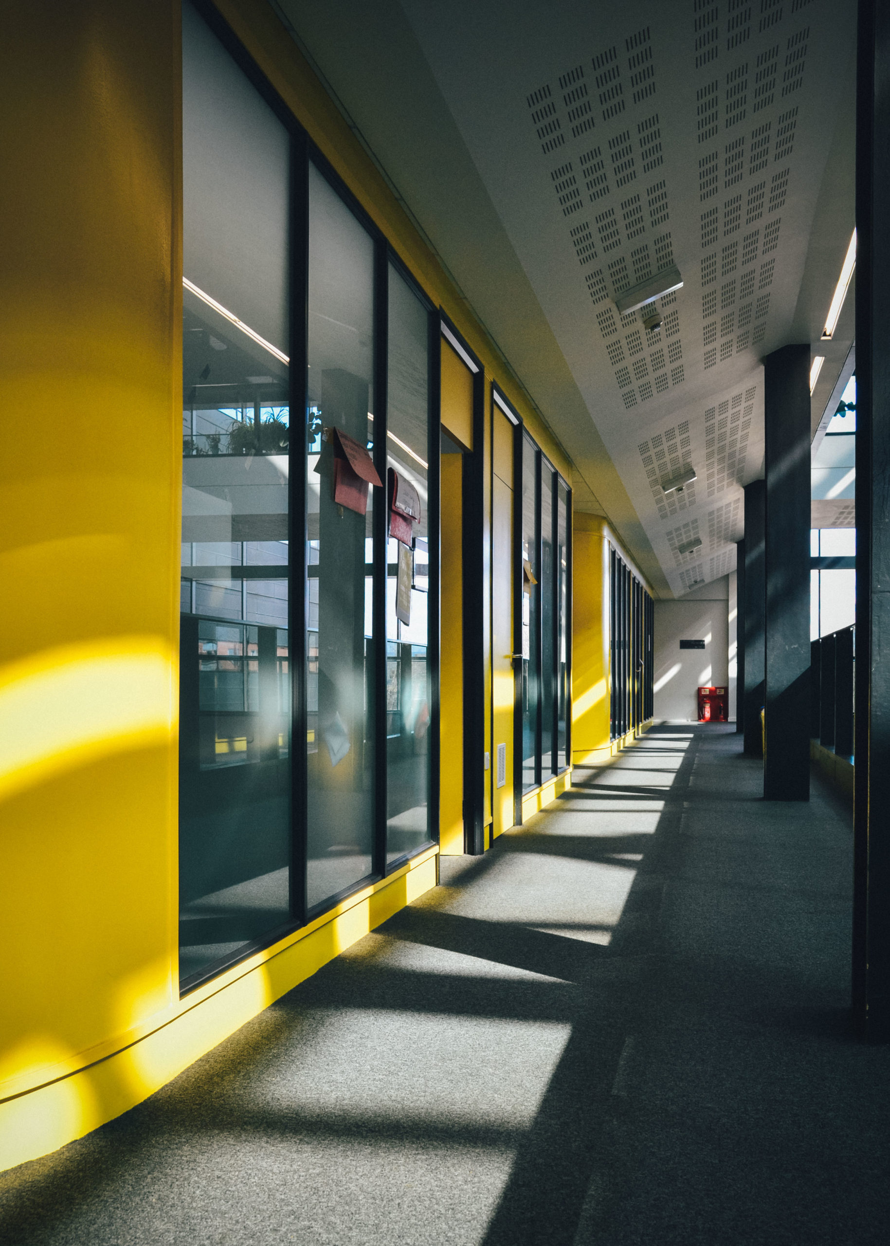 James Lighthill Department of Mathematics Blog