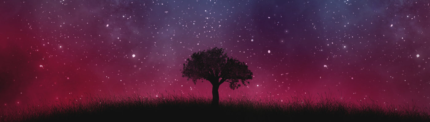 tree against starry sky