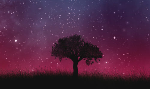tree against starry sky