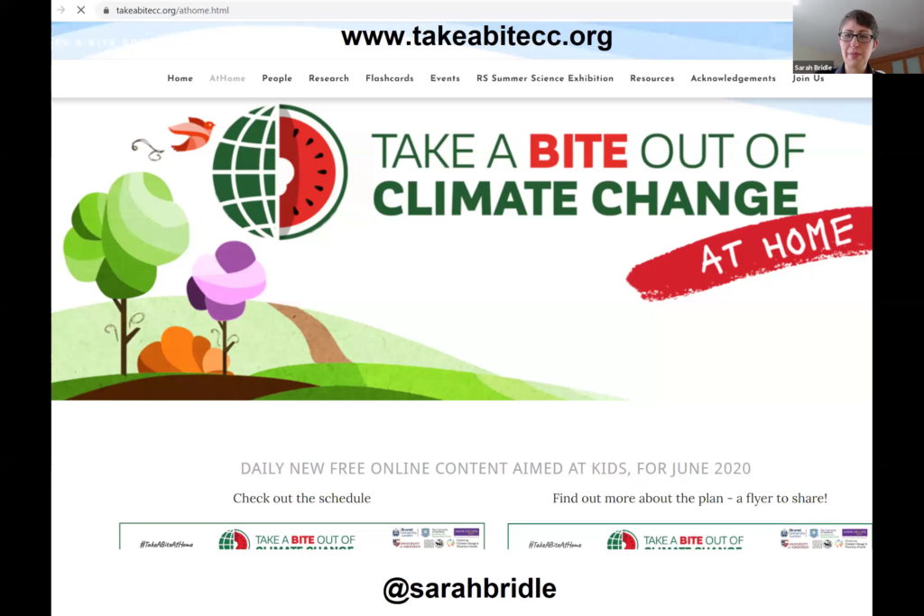 screenshot of sarah bridle talk