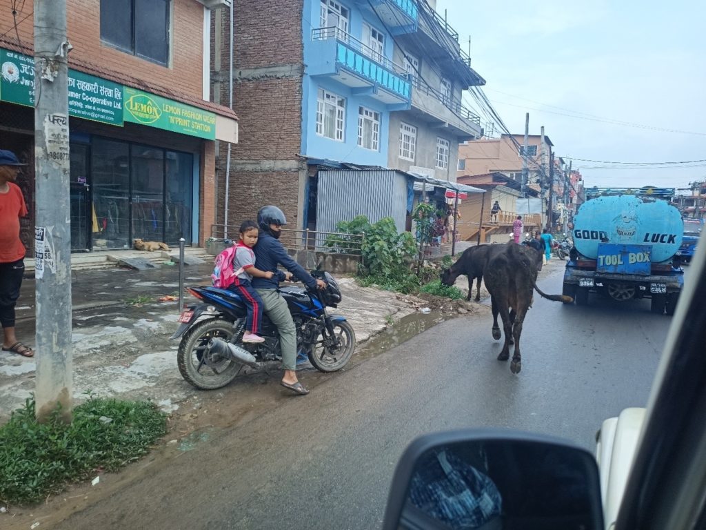 The view of a  street in Kathmandu from a car, a motorbike ridden by an adult with a female presenting 