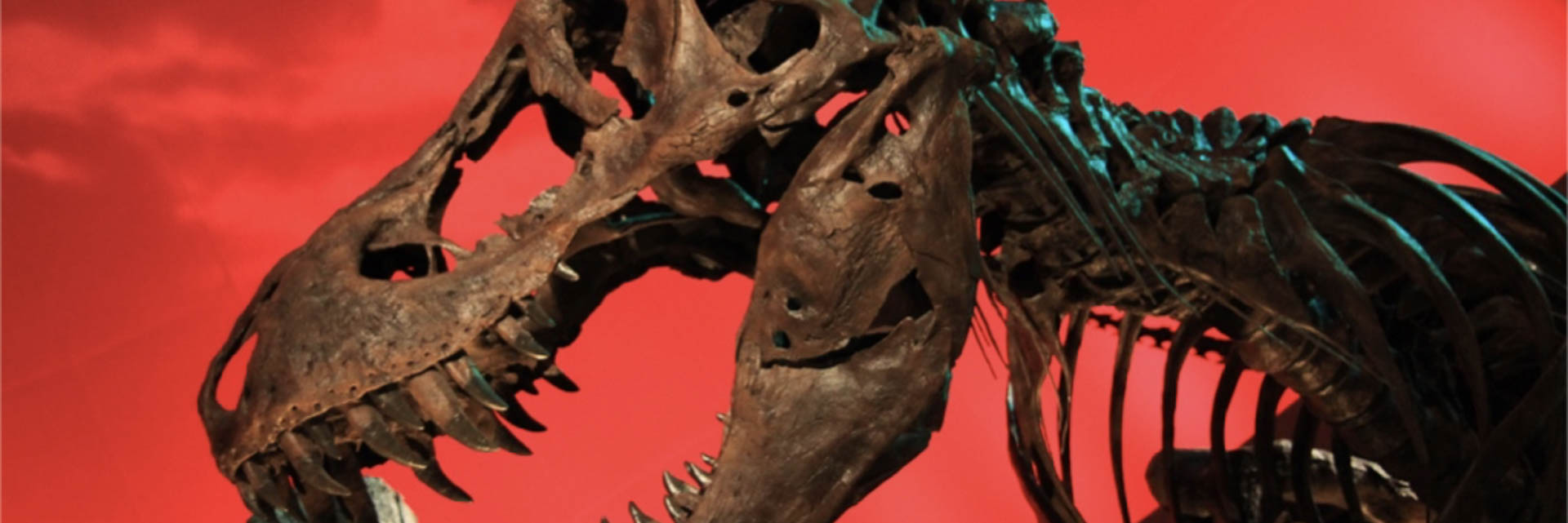 Thought that Jurassic Park could be real? Then think again… - Science