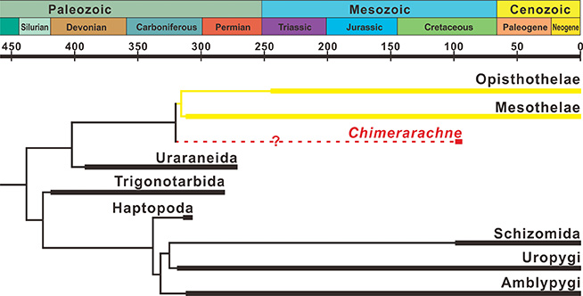 Chimerarachne yingi