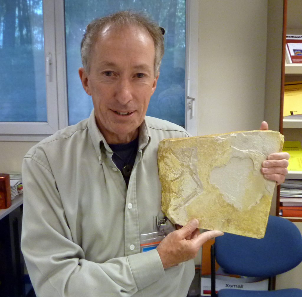 Dr John Nudds, Senior Lecturer in Palaeontology at The University of Manchester