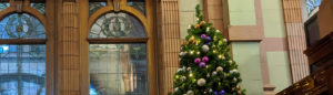 Christmas tree in Sackville Street Building