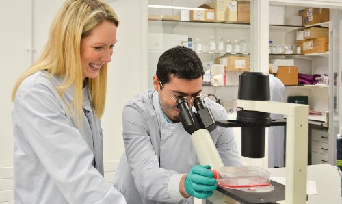 Science students examining materials under microscope