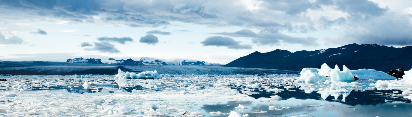 Melting snow highlighting climate change