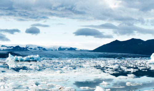 Melting snow highlighting climate change