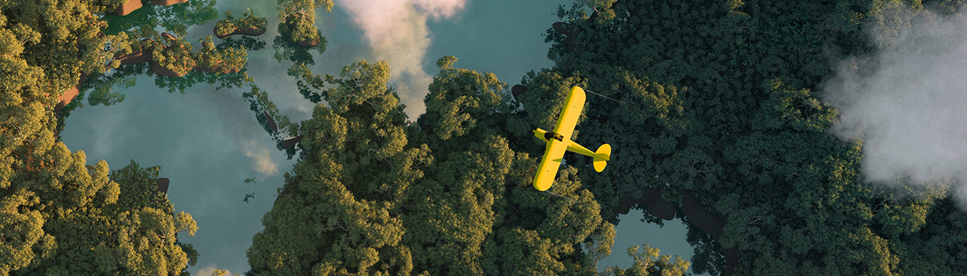 Yellow plane above a green forest
