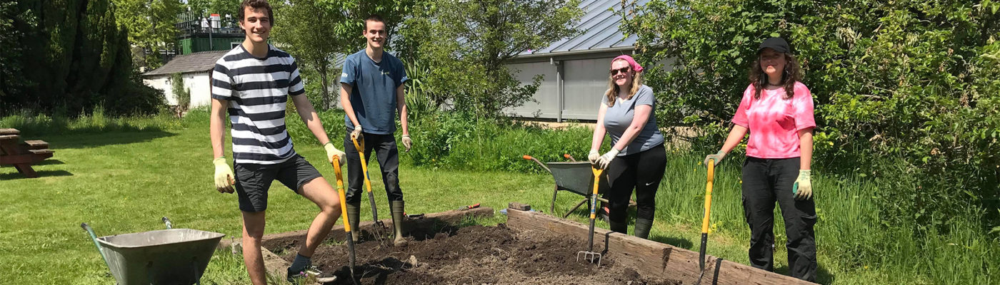 Volunteers planting at the firs