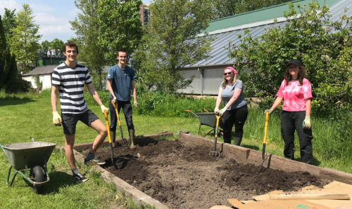 Volunteers planting at the firs