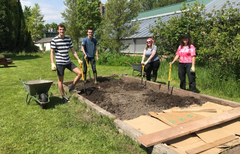 Volunteers planting at the firs