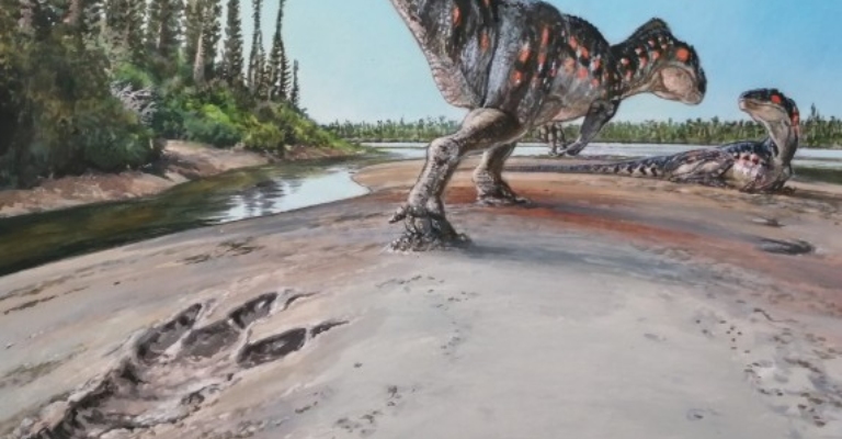 Artist's impression of a dinosaur leaving a giant footprint.
