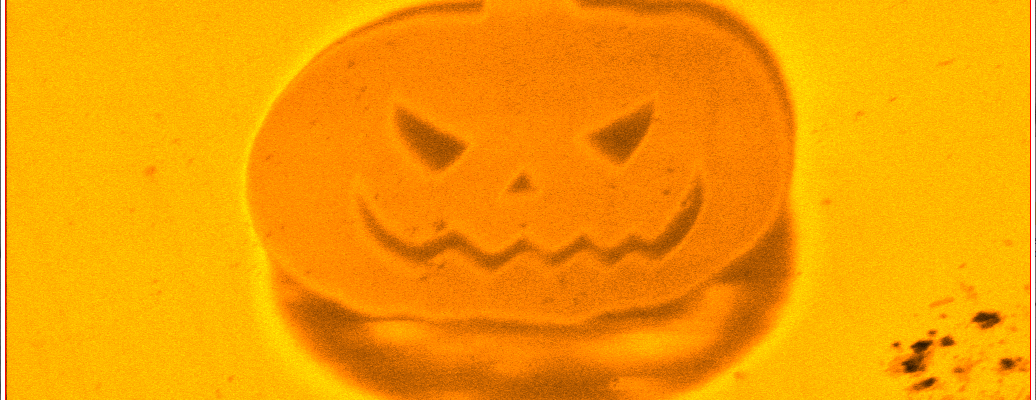 A photo of a microscopic pumpkin on an orange background