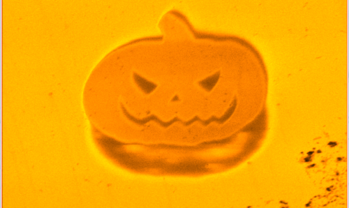 A photo of a microscopic pumpkin on an orange background