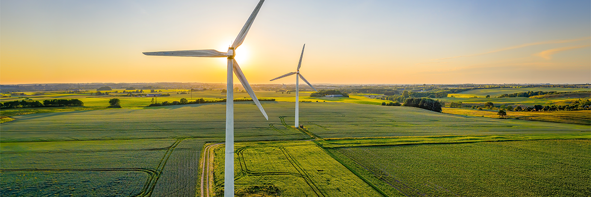 Wind turbines in a grassy field