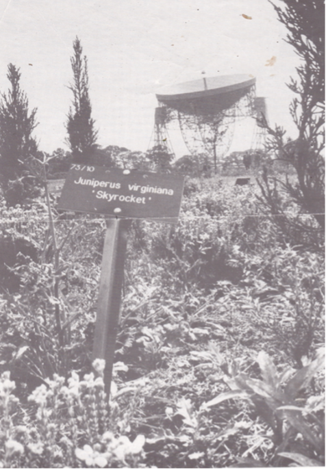 Image from 1969 Chesire Life Article – “Botany with Astronomy”