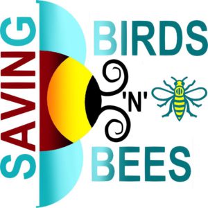 Birds n Bees Logo
