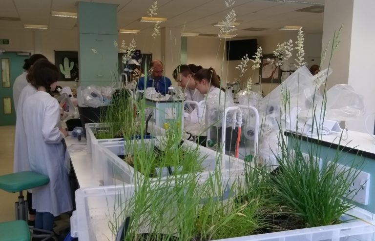 Students in a lab wearing white coats and looking at grass.
