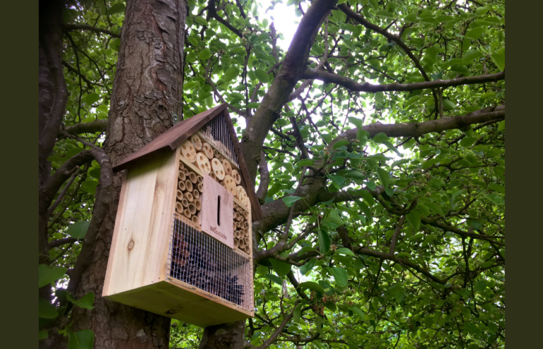 Bee Hotel at Platt Fields Park