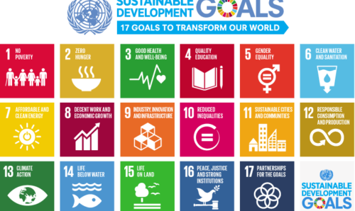 The UN Sustainable Development Goals