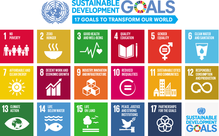 The UN Sustainable Development Goals