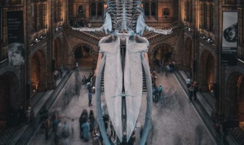 Natural History Museum