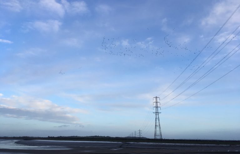 Power lines at Hinkley Point
